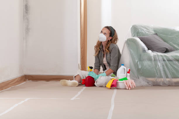 Reliable Black Mold Remediation contractor in Lutz, FL by 24 Hour Mold Removal
